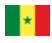  Đội tuyển bóng đá nữ Senegal