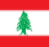 Bóng đá nữ Lebanon