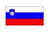Slovenia U20